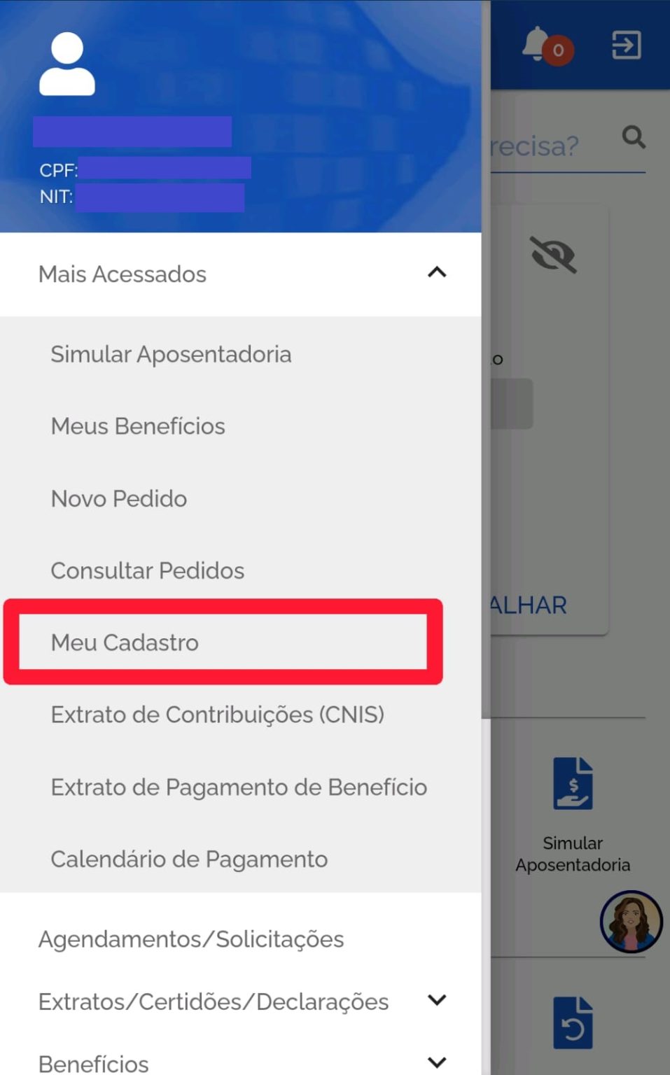 Nis O Que Para Que Serve E Como Descobrir O N Mero Pelo Celular