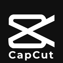 CapCut_pergunta de melhores amigas